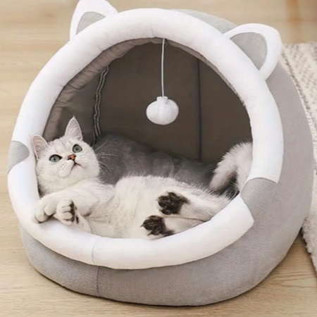 Kitty in Cave Bed